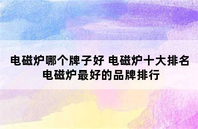 电磁炉哪个牌子好 电磁炉十大排名 电磁炉最好的品牌排行